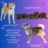 Shiba inu stenci