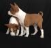 Basenji