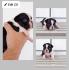 Boston terrier stenci
