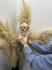 Maltipoo stenci