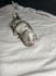 American bully pocket